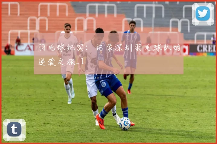 羽毛球纪实：记录深圳羽毛球队的逆袭之旅_1