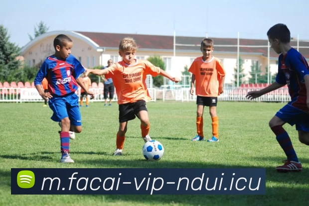 开云体育APP 封面图